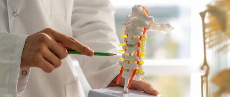 Mild Scoliosis: Your Absolute Comfort Guide 3 Mild Scoliosis