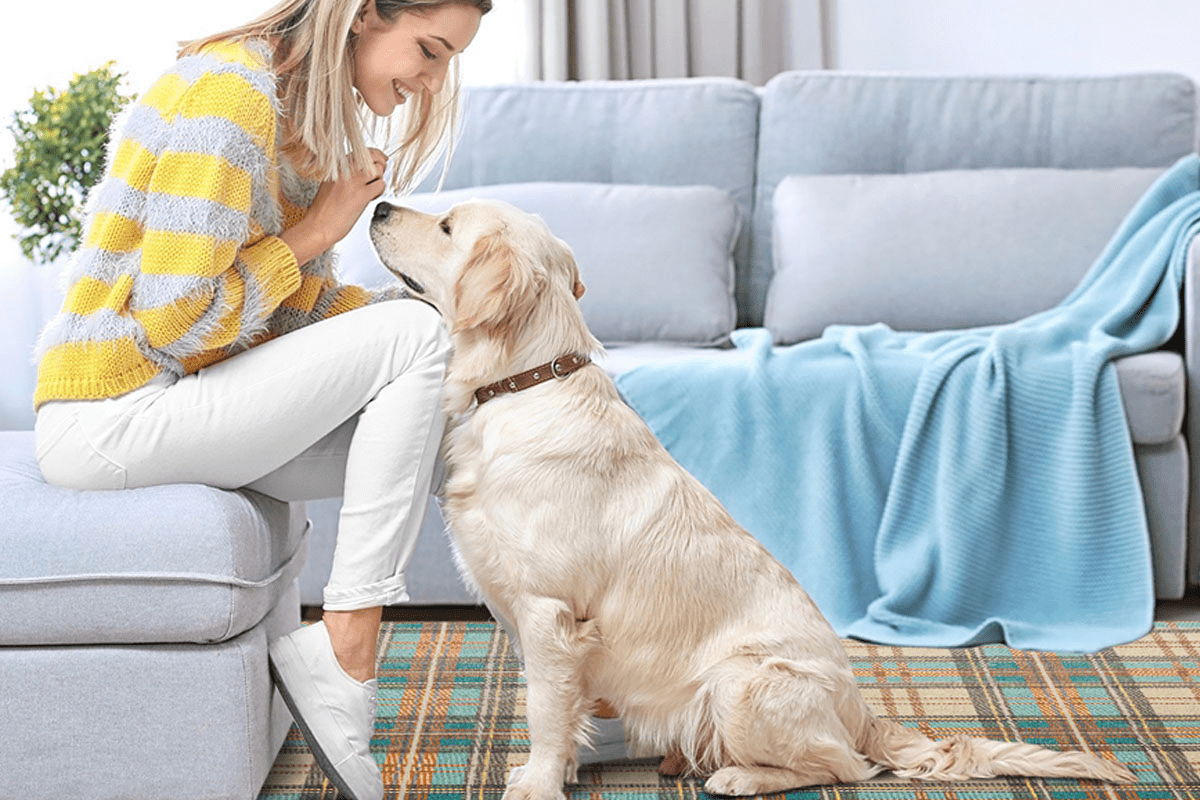 Staying Away from Pets After PET Scan: Powerful Safety Advice