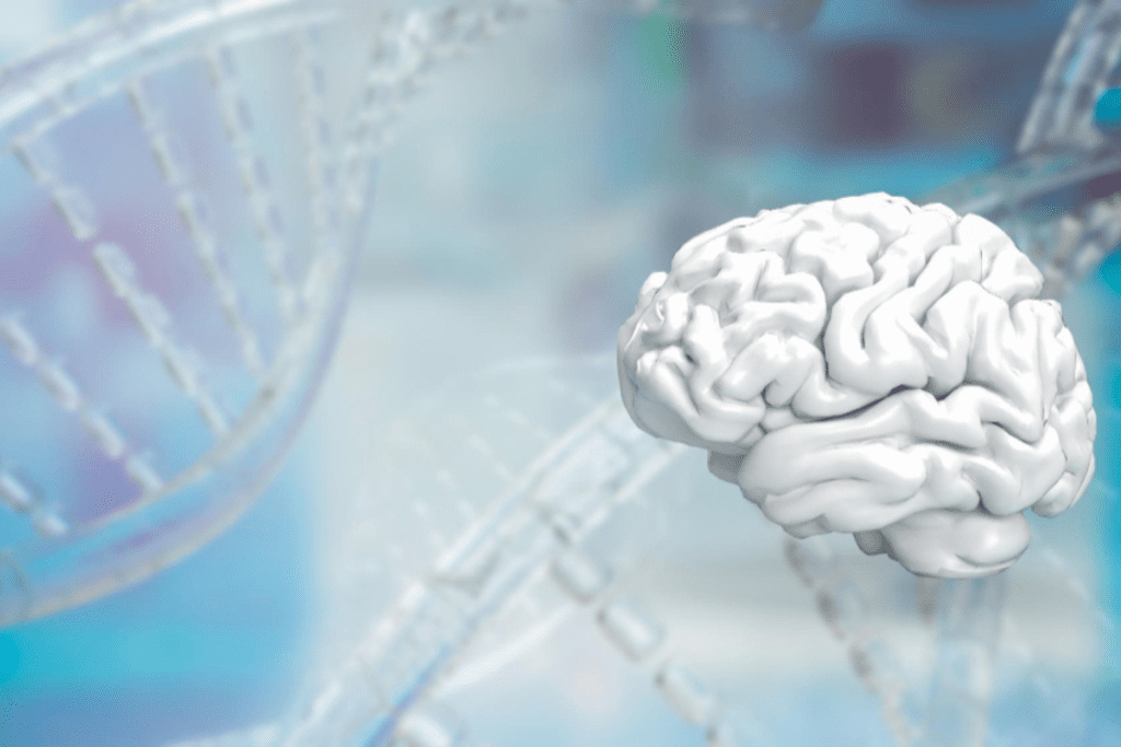 Stem Cells for MS Cure: Hope for Effective Recovery