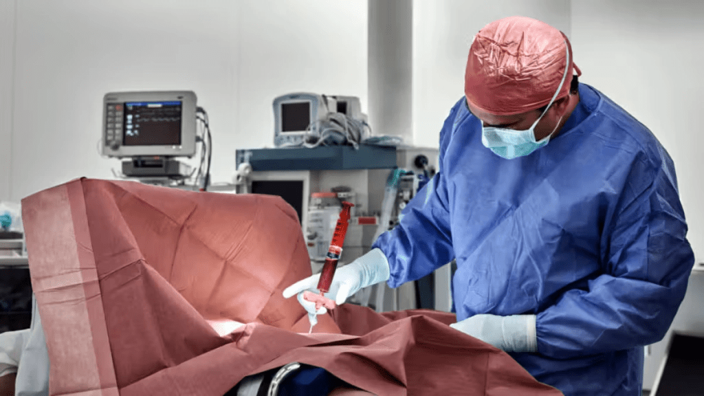 How do you know if a bone marrow transplant is successful?