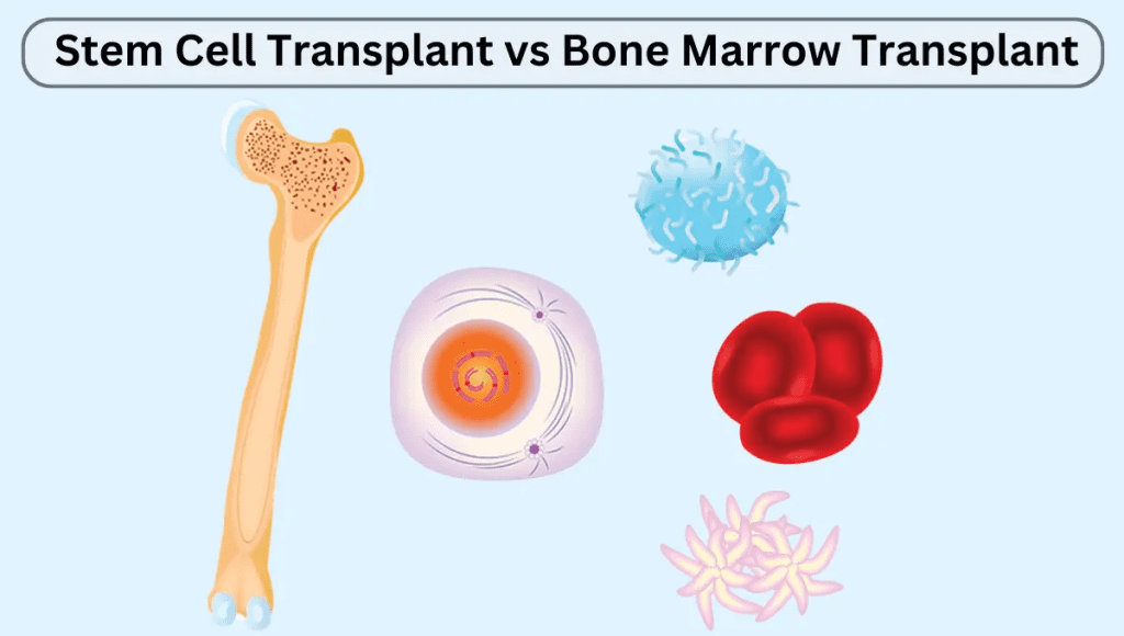 How do you know if a bone marrow transplant is successful?