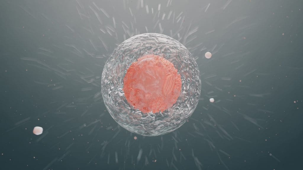 living cell with pulsating nucleus biological concept emergence new life reproduction LIV Hospital