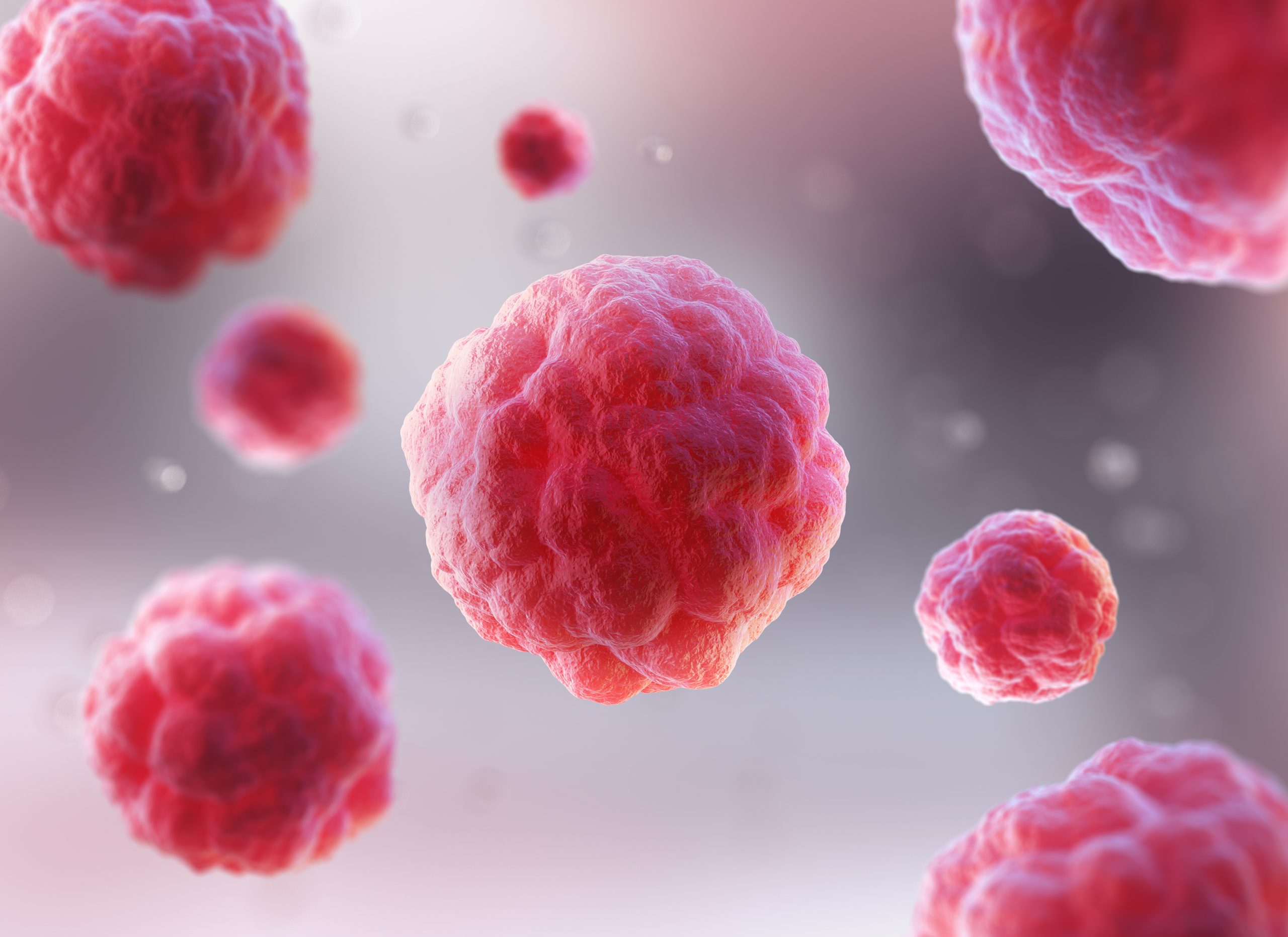 can you have a normal life after a stem cell transplant