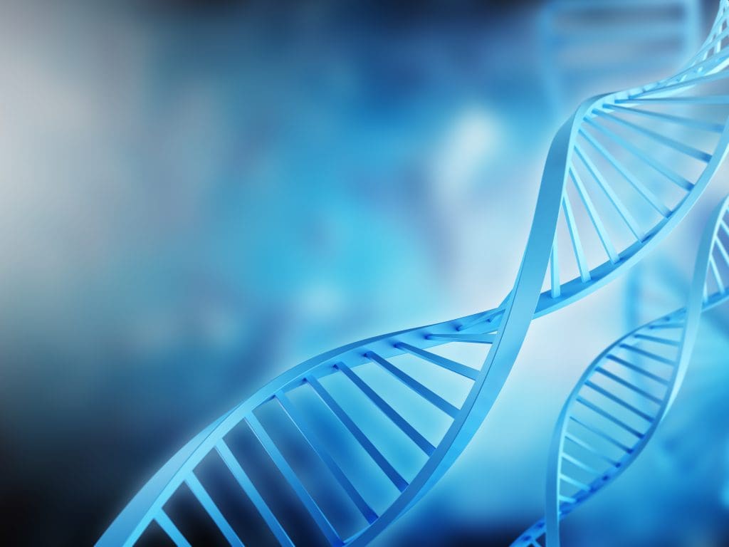 Stem Cells Regrow The Brain