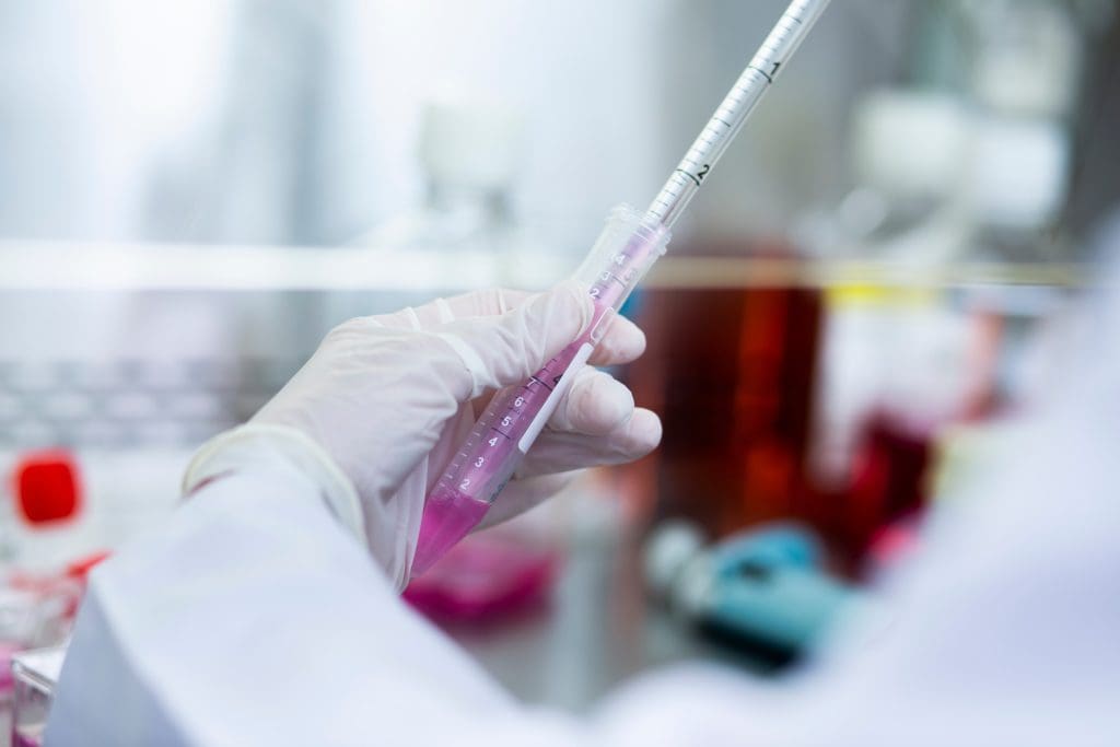 What Is a Stem Cell? Understanding the Promise and the Potential Risks