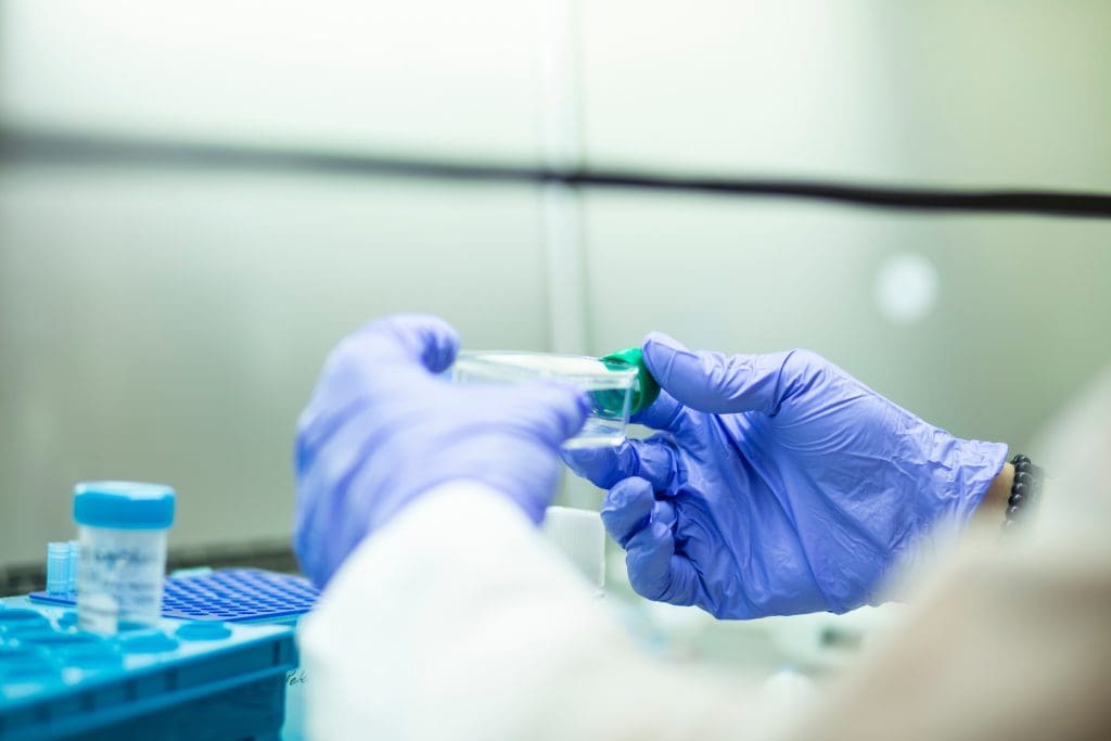 stem cell transplant success rate

