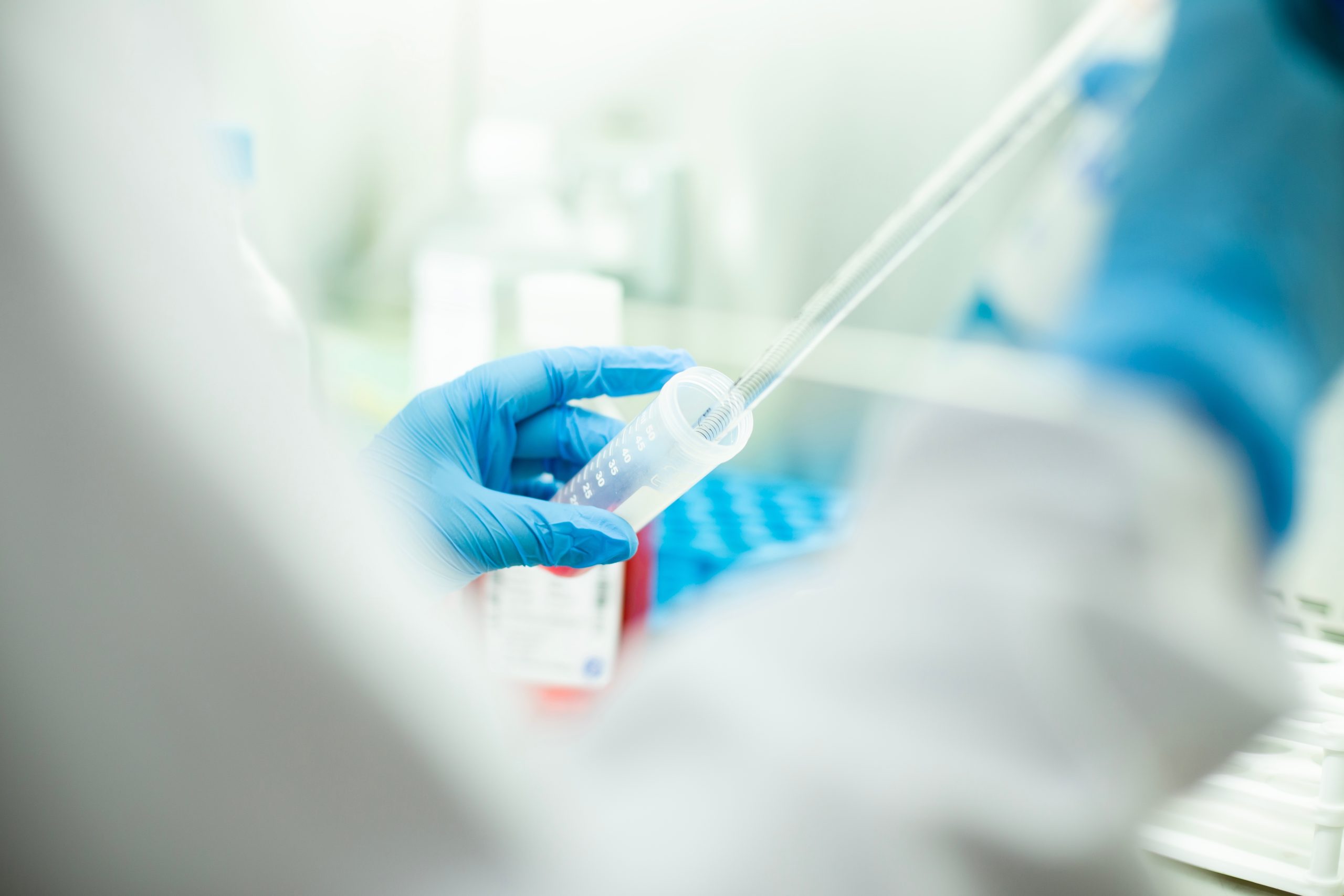 Supplement for Stem Cells