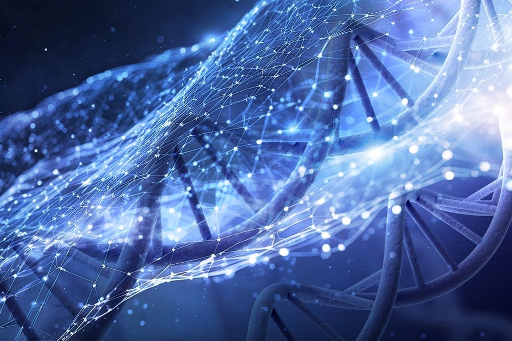 How to Activate Stem Cells: The Complete Guide for Beginners