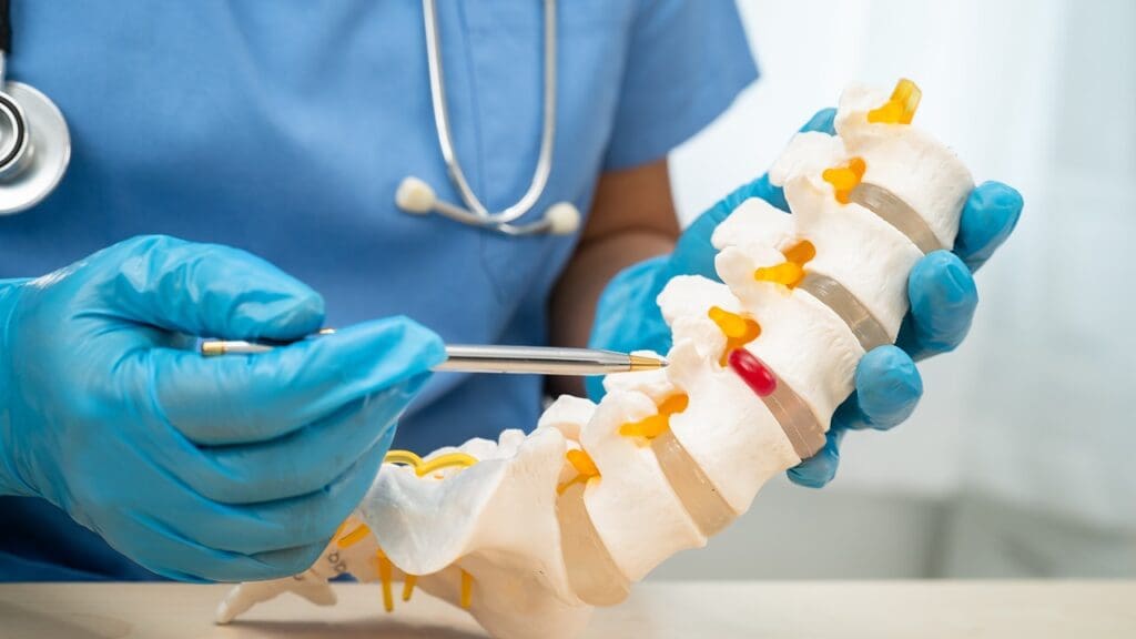 spinal cord functions