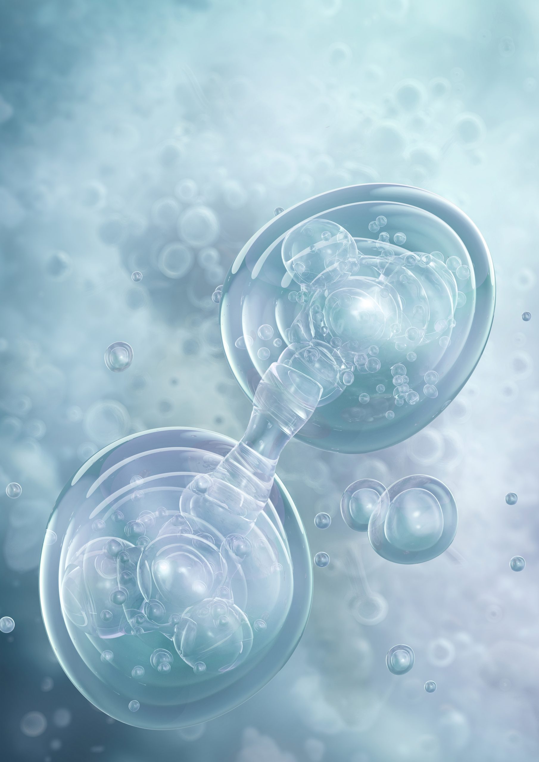 Example of Induced Pluripotent Stem Cells