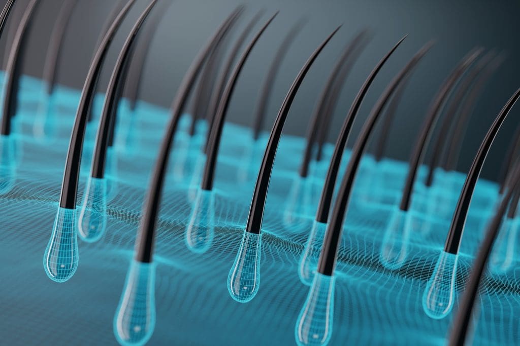 Can Stem Cells Regrow Hair? 1 Stem Cells Regrow Hair