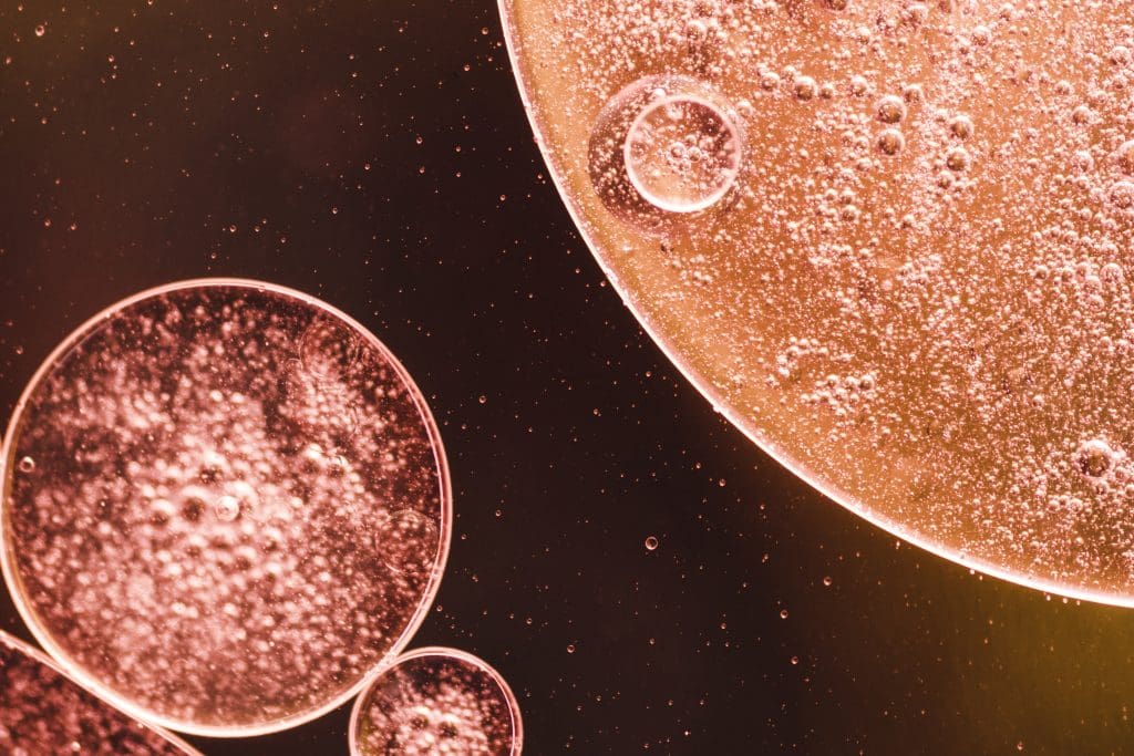 Stem Cell Treatments for Blood Disorders