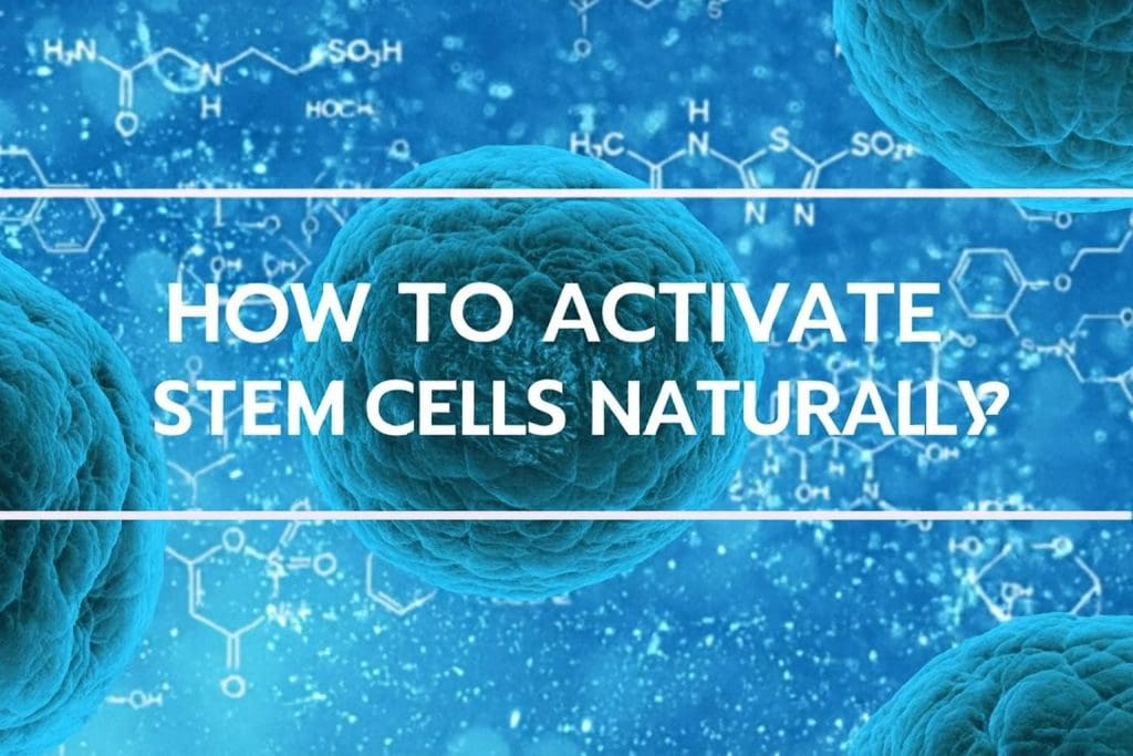 stem cells naturally LIV Hospital