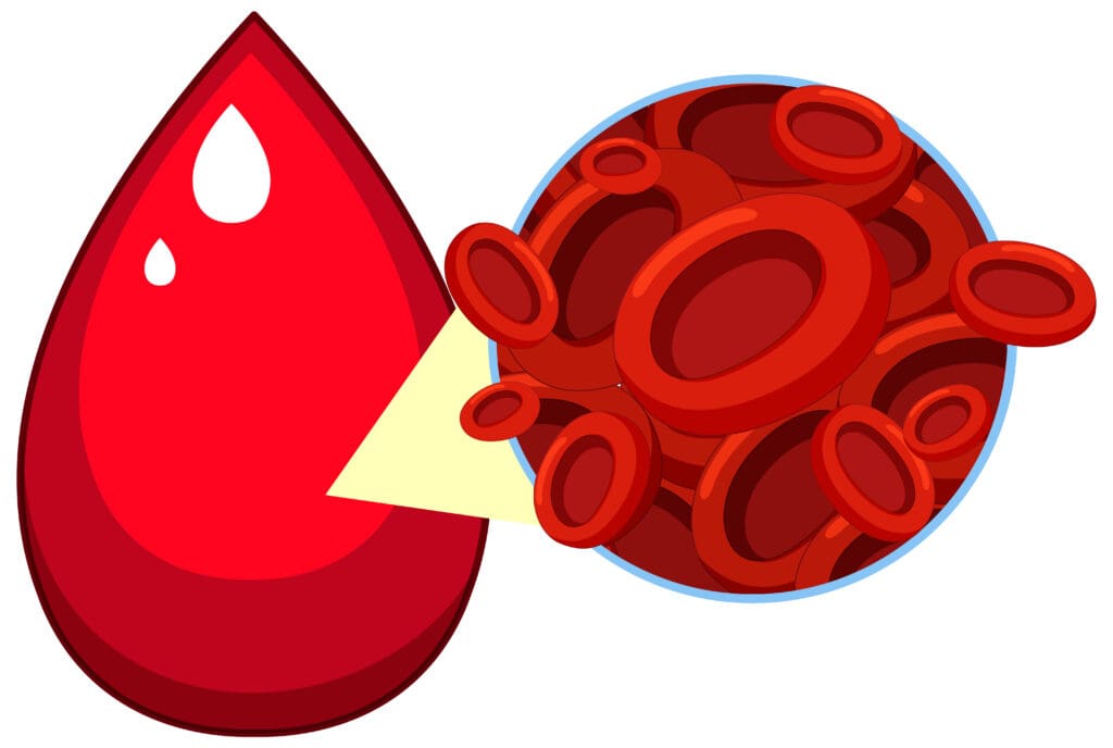 26348bee c3bd 4001 a50c 815085886ea1 LIV Hospital