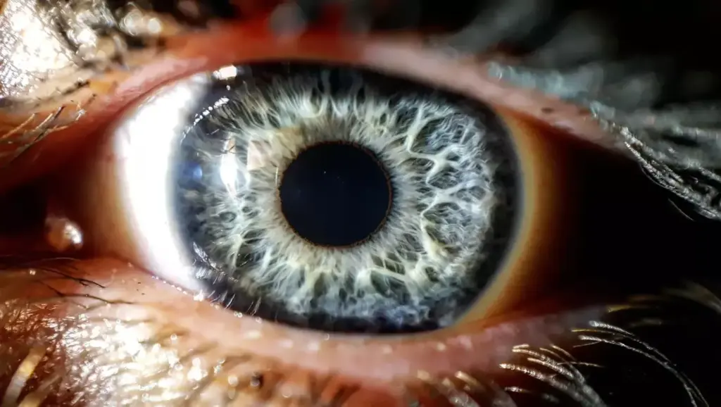 A close-up view of a human eye twitching involuntarily, with the eyelid rapidly closing and opening in a repeated pattern. The eye appears slightly reddened and irritated, with subtle wrinkles and creases around the eyelid. The lighting is soft and natural, casting gentle shadows that accentuate the details of the eye structure. The background is blurred and out of focus, keeping the attention solely on the eye and the twitching motion. The overall mood is one of concern and unease, reflecting the potential underlying medical condition causing the eye twitching. A close-up view of a human eye twitching involuntarily, with the eyelid rapidly closing and opening in a repeated pattern. The eye appears slightly reddened and irritated, with subtle wrinkles and creases around the eyelid. The lighting is soft and natural, casting gentle shadows that accentuate the details of the eye structure. The background is blurred and out of focus, keeping the attention solely on the eye and the twitching motion. The overall mood is one of concern and unease, reflecting the potential underlying medical condition causing the eye twitching.