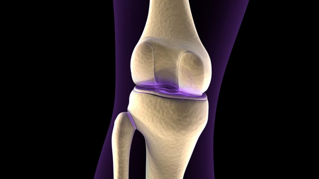 A close-up view of a human knee joint A close-up view of a human knee joint