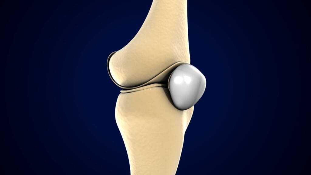 A close-up view of a knee joint A close-up view of a knee joint