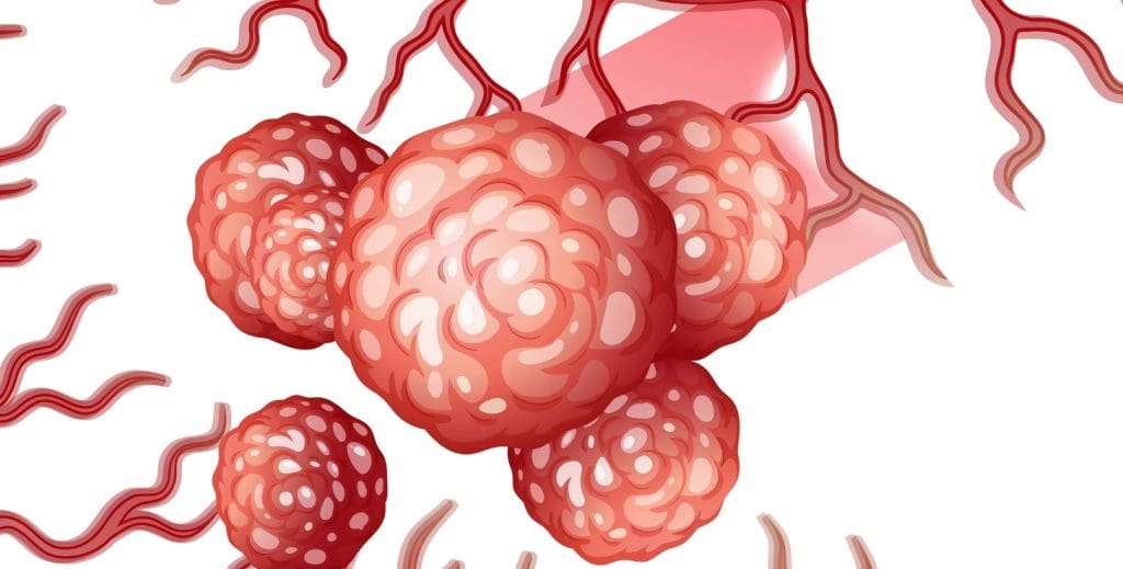 A detailed cross-section of hematopoietic tissue, revealing its intricate cellular architecture