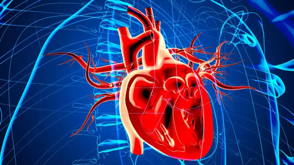 A detailed cross-section of the human heart, capturing the intricate anatomy of a myocardial infarction. In the foreground, visualize the damaged myocardium, with areas of necrosis and scar tissue clearly delineated. In the middle ground, depict the obstructed coronary artery responsible for the infarction, its lumen narrowed by a build-up of plaque. The background should showcase the surrounding healthy cardiac muscle, creating a contrast that emphasizes the affected region. Utilize a crisp, clinical lighting scheme to accentuate the medical nature of the subject, and employ a neutral color palette to maintain a professional, educational tone. Capture the scene from a slightly elevated angle, providing a comprehensive view of the pathological changes within the heart. A detailed cross-section of the human heart, capturing the intricate anatomy of a myocardial infarction. In the foreground, visualize the damaged myocardium, with areas of necrosis and scar tissue clearly delineated. In the middle ground, depict the obstructed coronary artery responsible for the infarction, its lumen narrowed by a build-up of plaque. The background should showcase the surrounding healthy cardiac muscle, creating a contrast that emphasizes the affected region. Utilize a crisp, clinical lighting scheme to accentuate the medical nature of the subject, and employ a neutral color palette to maintain a professional, educational tone. Capture the scene from a slightly elevated angle, providing a comprehensive view of the pathological changes within the heart.