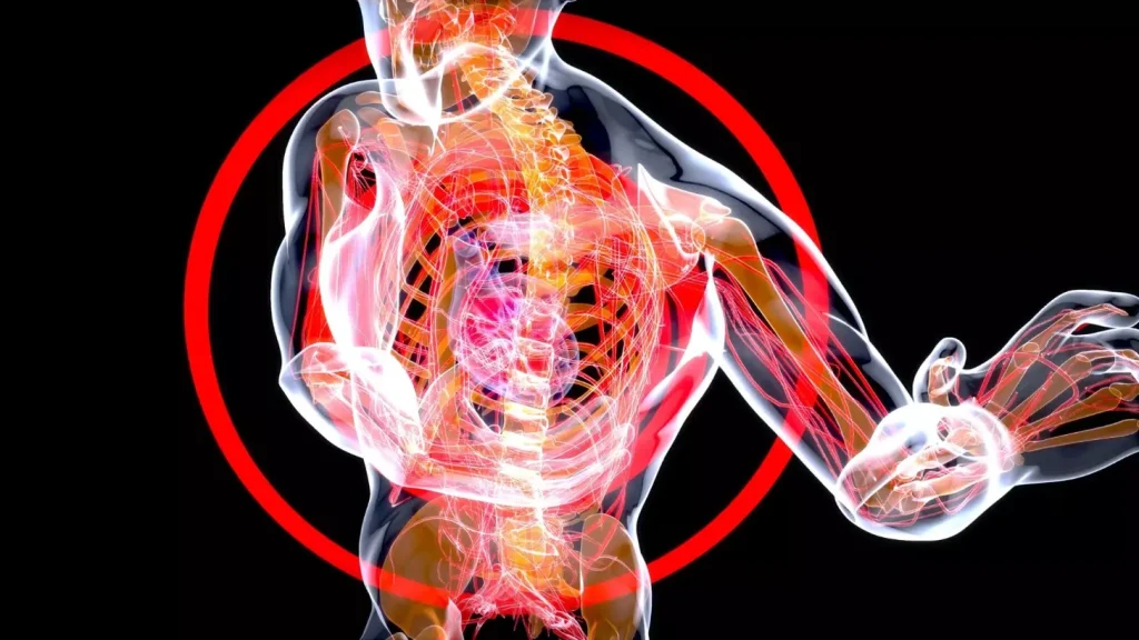 A detailed cross-section of the inner structure of healthy human bone marrow, illuminated by soft, warm lighting that accentuates the intricate network of blood vessels, fat cells, and hematopoietic stem cells responsible for blood cell production. The scene is captured through a microscopic lens, allowing the viewer to appreciate the complex, dynamic nature of this vital organ. The overall mood is one of scientific curiosity and appreciation for the delicate balance that sustains the body's vital functions.