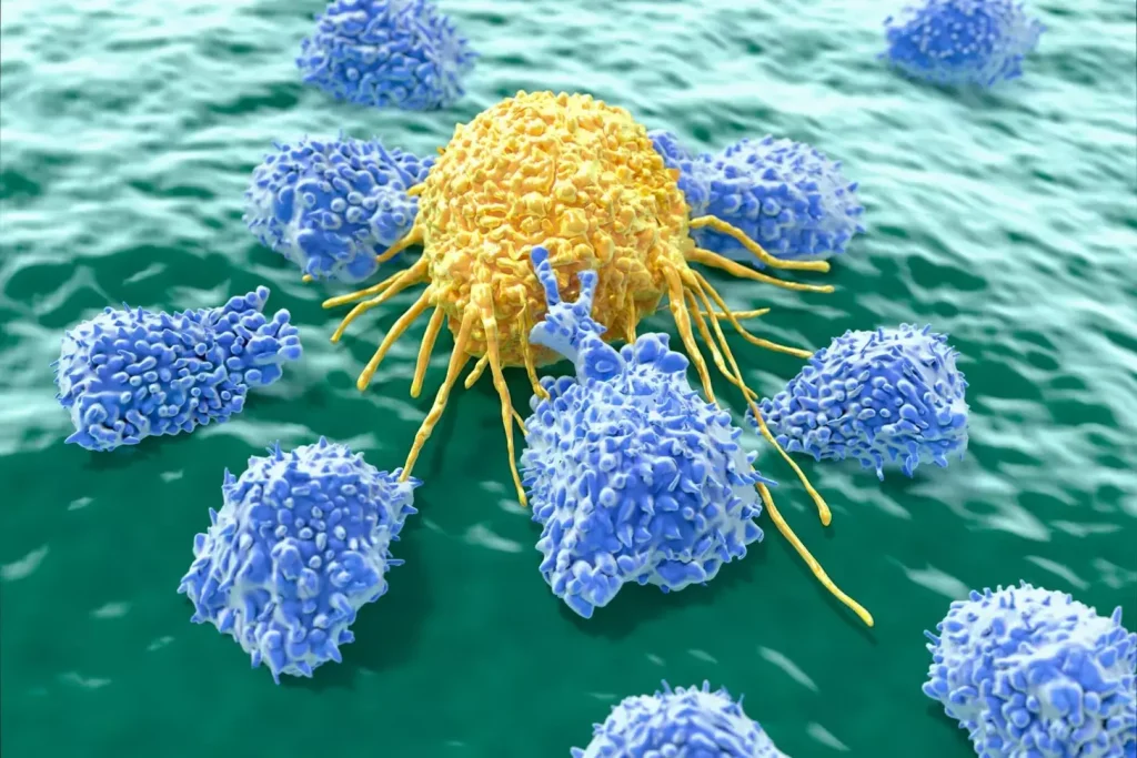 A detailed, cross-sectional view of a CAR T cell, depicting its intricate cellular structure. The foreground showcases the chimeric antigen receptor (CAR) on the cell surface, composed of an extracellular antigen-binding domain, a transmembrane region, and an intracellular signaling domain. The middle ground reveals the cell's cytoplasm, populated with organelles like the nucleus, mitochondria, and endoplasmic reticulum. In the background, a crisp, clinical setting with subtle lighting highlights the complex architecture of this specialized immune cell. Rendered with a high level of scientific accuracy and visual clarity to aid in the understanding of CAR T cell therapy. A detailed, cross-sectional view of a CAR T cell, depicting its intricate cellular structure. The foreground showcases the chimeric antigen receptor (CAR) on the cell surface, composed of an extracellular antigen-binding domain, a transmembrane region, and an intracellular signaling domain. The middle ground reveals the cell's cytoplasm, populated with organelles like the nucleus, mitochondria, and endoplasmic reticulum. In the background, a crisp, clinical setting with subtle lighting highlights the complex architecture of this specialized immune cell. Rendered with a high level of scientific accuracy and visual clarity to aid in the understanding of CAR T cell therapy.