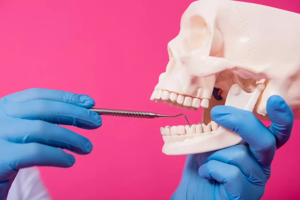 A detailed, cross-sectional view of the human jaw showcasing the process of bone grafting for dental implants. In the foreground, a closeup of the jawbone, revealing the intricate network of bone cells and the precise surgical placement of the graft material. The middle ground depicts the dental implant fixture being integrated into the newly reinforced bone structure, with a soft tissue flap retracted to expose the site. The background blurs into a clean, clinical environment, emphasizing the precision and expertise required for this specialized procedure. Realistic textures, muted color tones, and subtle lighting create an informative, educational atmosphere. A detailed, cross-sectional view of the human jaw showcasing the process of bone grafting for dental implants. In the foreground, a closeup of the jawbone, revealing the intricate network of bone cells and the precise surgical placement of the graft material. The middle ground depicts the dental implant fixture being integrated into the newly reinforced bone structure, with a soft tissue flap retracted to expose the site. The background blurs into a clean, clinical environment, emphasizing the precision and expertise required for this specialized procedure. Realistic textures, muted color tones, and subtle lighting create an informative, educational atmosphere.