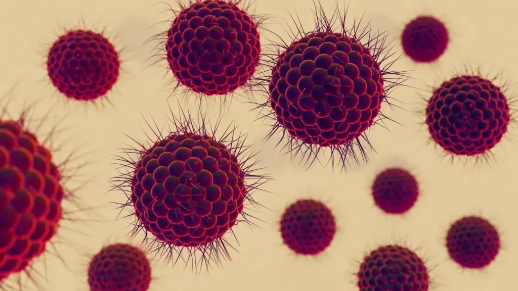 A detailed microscopic view of abnormal lymphoblast cells, the hallmark of Acute Lymphoblastic Leukemia (ALL). The cells are large with a high nucleus-to-cytoplasm ratio, irregular nuclear contours, and dense chromatin patterns. Vibrant colors and sharp focus capture the malignant nature of these rapidly dividing immature cells, disrupting normal blood and marrow function. An eerie, clinical atmosphere with cool lighting and a dark, neutral background emphasizes the seriousness of this blood cancer. Precise, technical rendering in a high-resolution, zoomed-in perspective to illustrate the cellular pathology of ALL. A detailed microscopic view of abnormal lymphoblast cells, the hallmark of Acute Lymphoblastic Leukemia (ALL). The cells are large with a high nucleus-to-cytoplasm ratio, irregular nuclear contours, and dense chromatin patterns. Vibrant colors and sharp focus capture the malignant nature of these rapidly dividing immature cells, disrupting normal blood and marrow function. An eerie, clinical atmosphere with cool lighting and a dark, neutral background emphasizes the seriousness of this blood cancer. Precise, technical rendering in a high-resolution, zoomed-in perspective to illustrate the cellular pathology of ALL.