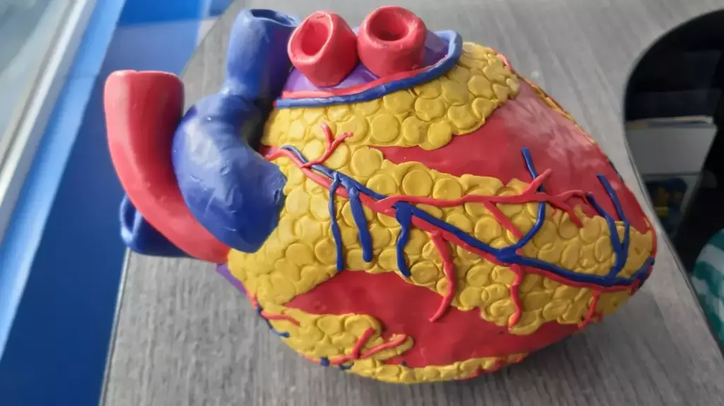 A high-resolution, scientifically accurate illustration of a myocardial infarction. In the foreground, a detailed cross-section of the heart, with the affected area clearly highlighted in vivid detail, showcasing the damage caused by the blockage of a coronary artery. In the middle ground, a detailed depiction of the coronary arteries, with the obstructed vessel prominently featured. The background should include subtle anatomical references, such as the ribcage and surrounding tissues, to provide context. The lighting should be soft and natural, emphasizing the medical and educational nature of the image. The overall tone should be informative and instructive, conveying the essential characteristics of a myocardial infarction in a clear and concise manner.