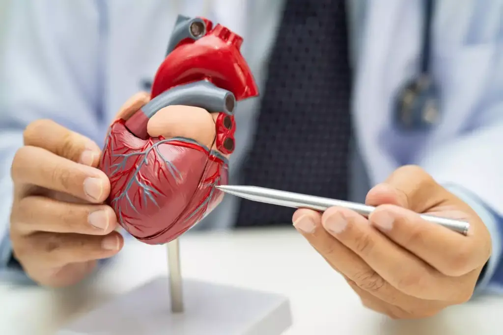 A highly detailed, technical illustration contrasting cardiac bypass and valve replacement procedures. In the foreground, a cross-section of a human heart reveals the inner workings, with arteries and valves clearly visible. In the middle ground, two insets depict the surgical techniques - bypass grafts routing around blocked arteries, and a replacement valve being implanted. The background features a softly blurred medical setting, with stainless steel instruments and monitors providing a clinical atmosphere. Dramatic backlighting casts dramatic shadows, emphasizing the precision and gravity of these delicate operations. The overall composition conveys the fundamental differences between these critical cardiac procedures.