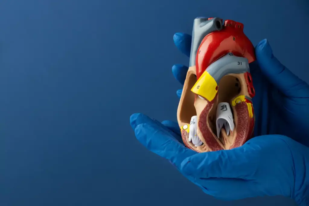 AAA Visualization in Vascular Medicine