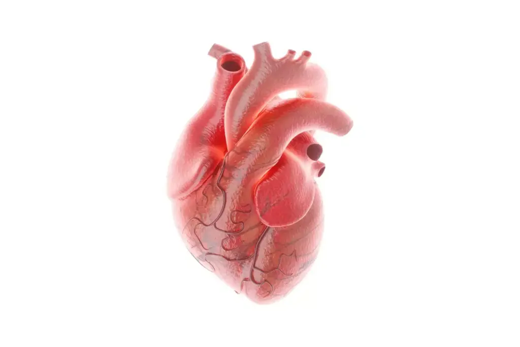 Anatomical diagrams showcasing the types of valve stenosis treatable with balloon valvuloplasty. Detailed, high-resolution, medical illustration depicting the aortic, mitral, and pulmonary valve leaflets in cross-section. Crisp, clear lines delineating normal valve structure versus stenotic valve morphology. Subtle, muted color palette highlighting the key anatomical features. Cutaway views reveal the internal valve mechanisms and surrounding cardiac anatomy. Thoughtful use of lighting and perspective to enhance depth and clarity. Objective, technical style suitable for a medical journal or textbook illustration. Anatomical diagrams showcasing the types of valve stenosis treatable with balloon valvuloplasty. Detailed, high-resolution, medical illustration depicting the aortic, mitral, and pulmonary valve leaflets in cross-section. Crisp, clear lines delineating normal valve structure versus stenotic valve morphology. Subtle, muted color palette highlighting the key anatomical features. Cutaway views reveal the internal valve mechanisms and surrounding cardiac anatomy. Thoughtful use of lighting and perspective to enhance depth and clarity. Objective, technical style suitable for a medical journal or textbook illustration.