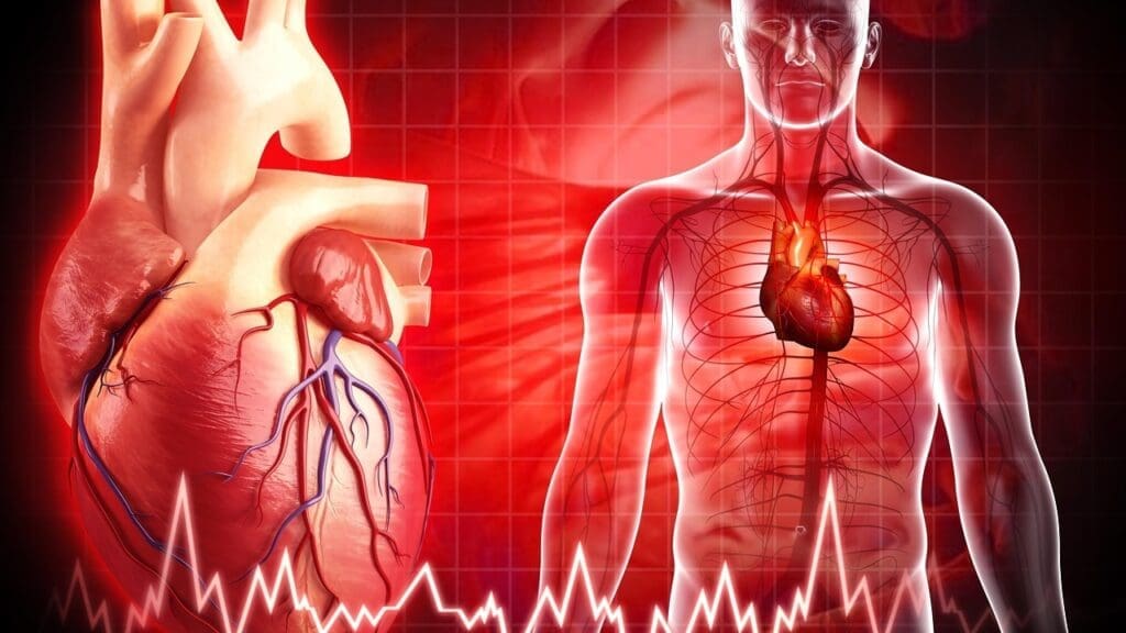 Anatomy of the Pulmonary