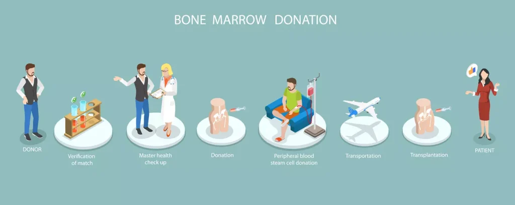 Bone marrow donation process