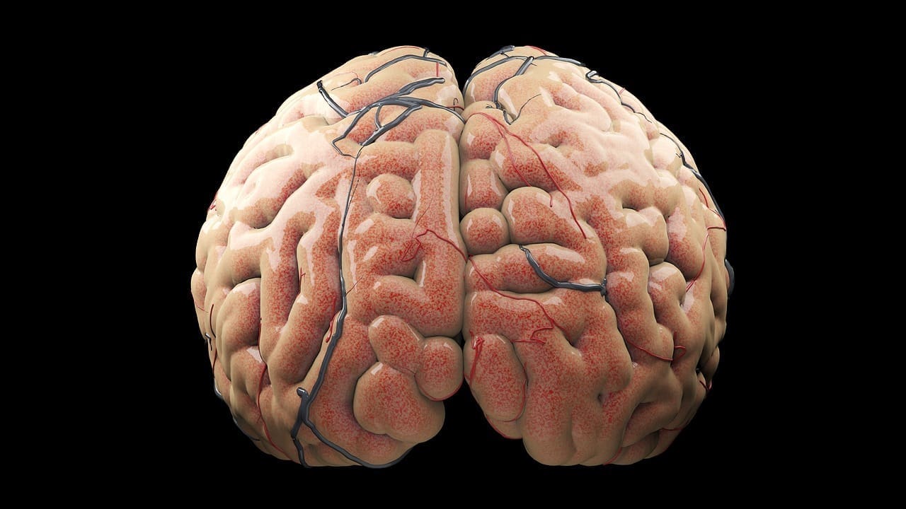 Brain Spine Insights