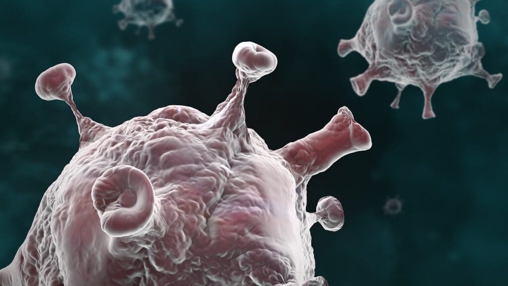 Cell Lymphoma Cancer