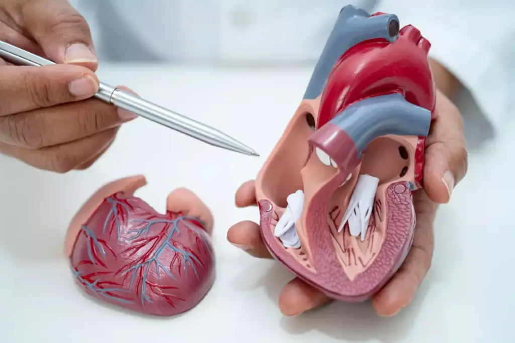Detailed cross-section of a human heart suffering from myocardial infarction. Close-up view showcasing the damaged myocardium, with areas of necrosis and scarring visible. Use a low-angle perspective to create a sense of scale and emphasis on the severity of the condition. Depict the affected heart tissues with a muted, somber palette of grays, browns, and blues, conveying the seriousness of the medical issue. Soft, directional lighting illuminates the details, while a slightly hazy, clinical atmosphere sets the mood. Avoid extraneous elements or distractions, keeping the focus solely on the damaged heart structure.