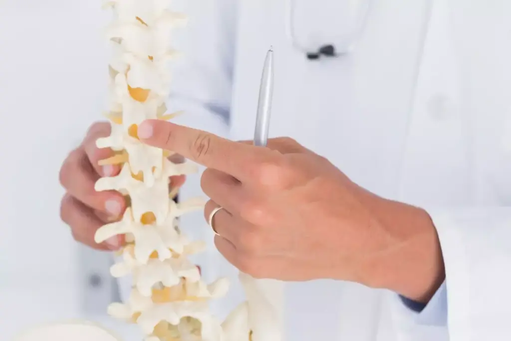 Detailed cross-section of the cervical spine anatomy, showcasing the intricate structure of the vertebrae, intervertebral discs, and surrounding tissues. Rendered in high-resolution with precise anatomical accuracy, highlighting the essential components that enable the neck's range of motion and stability. Soft, indirect lighting illuminates the scene, creating a sense of depth and emphasizing the delicate balance of the cervical region. Captured from a slightly elevated angle to provide a comprehensive view, allowing the viewer to fully appreciate the significance of this critical section of the spinal column. Detailed cross-section of the cervical spine anatomy, showcasing the intricate structure of the vertebrae, intervertebral discs, and surrounding tissues. Rendered in high-resolution with precise anatomical accuracy, highlighting the essential components that enable the neck's range of motion and stability. Soft, indirect lighting illuminates the scene, creating a sense of depth and emphasizing the delicate balance of the cervical region. Captured from a slightly elevated angle to provide a comprehensive view, allowing the viewer to fully appreciate the significance of this critical section of the spinal column.