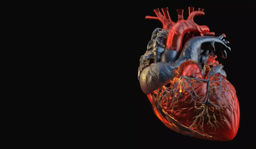 Detailed cross-section of the human heart, revealing the intricate anatomy of the four heart valves in their natural positions. Vibrant, high-contrast medical illustration style, with a focus on the valves' unique structures and dynamic function. Crisp, clean lighting highlighting the delicate valve leaflets opening and closing rhythmically, illustrating their role in regulating blood flow. Smooth, photorealistic rendering of the heart tissue and surrounding blood vessels, creating a visually striking and informative depiction of the heart's vital valvular system.
