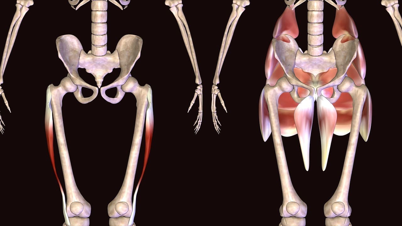 Different Types of Hip Surgery