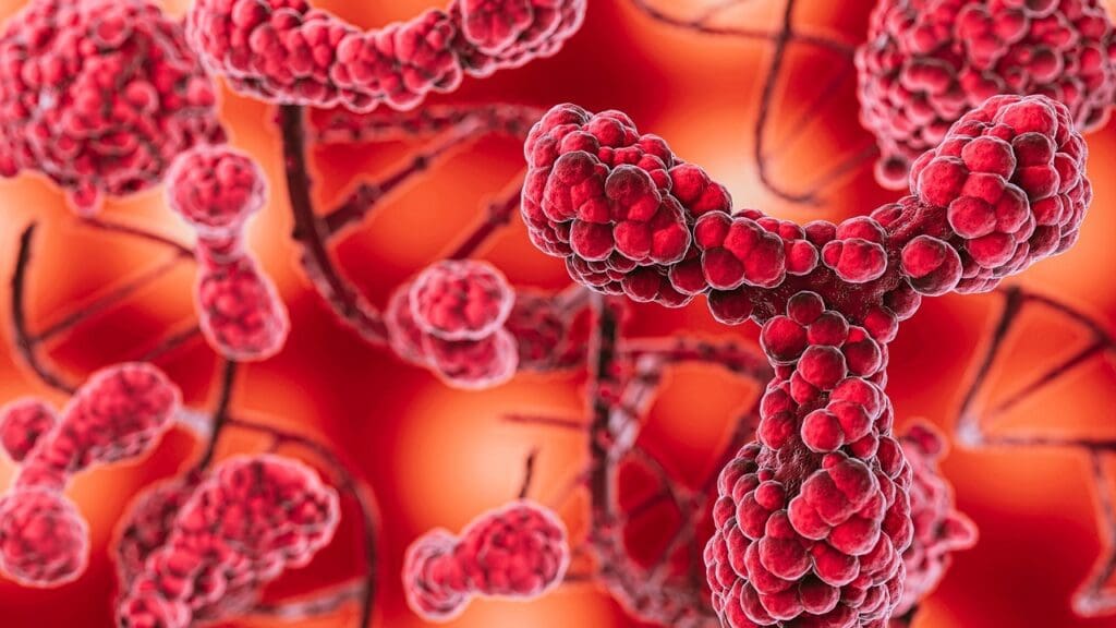 Diffuse Large B-Cell Lymphoma Treatment