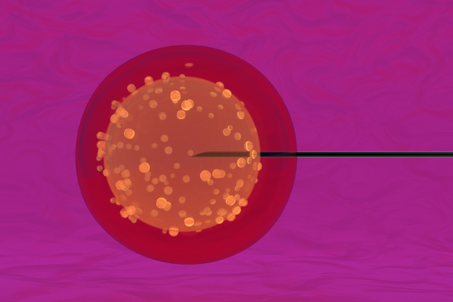 Embryonic stem cells