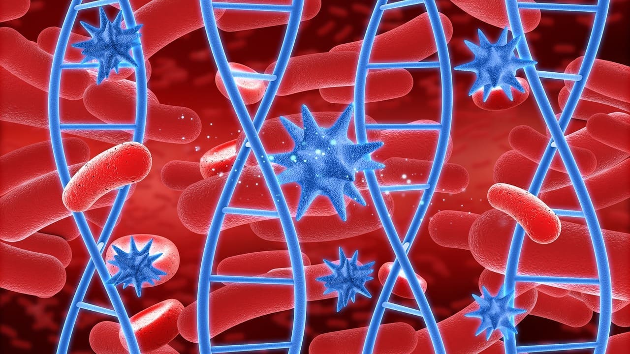 Hematopoietic Lineage