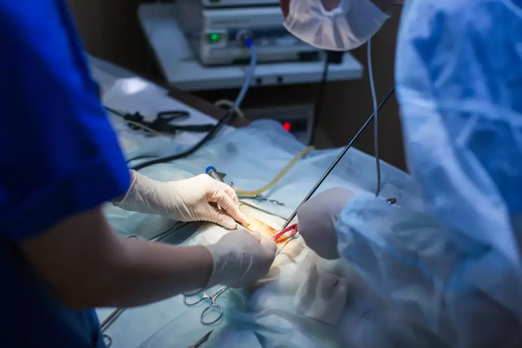 How Long Does Heart Bypass Surgery Take?