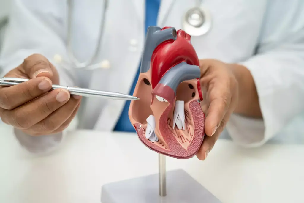 LIMA is Preferred in Over 90% of CABG Procedures LIMA is Preferred in Over 90% of CABG Procedures