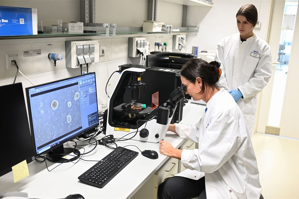 Malignant Definition Meaning in Tough Cancer Cases