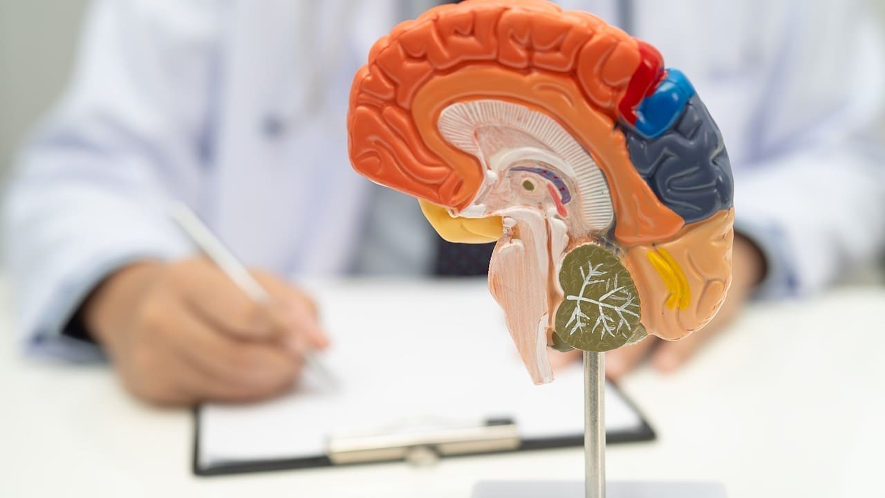 Spinal and Brain Shunt