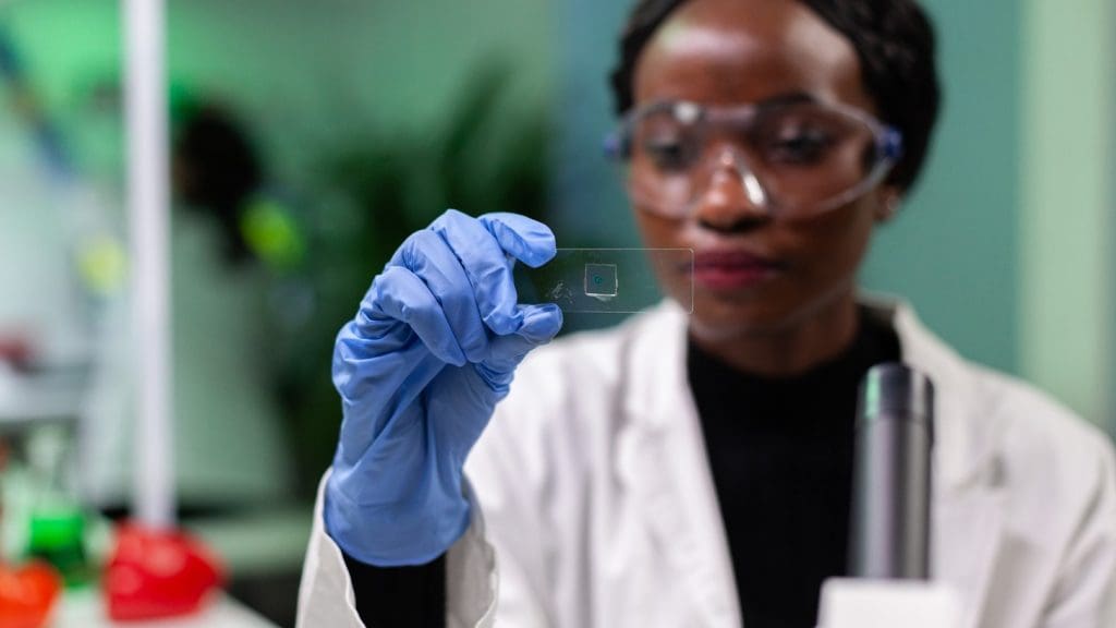 Stem cell activation Stem cell activation