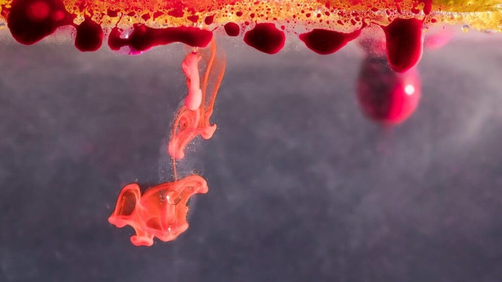 The Foundation of Blood Cell Development