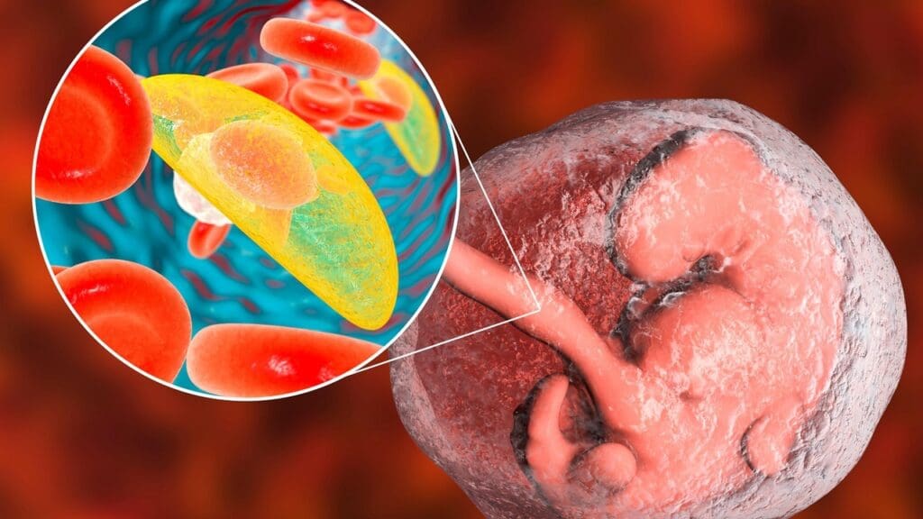 The Fundamental Nature of Hematopoietic