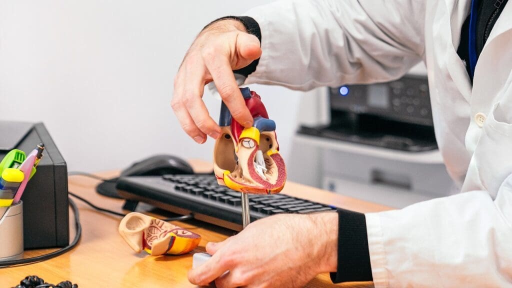 The Science Behind Mitral Valve Ring Repair